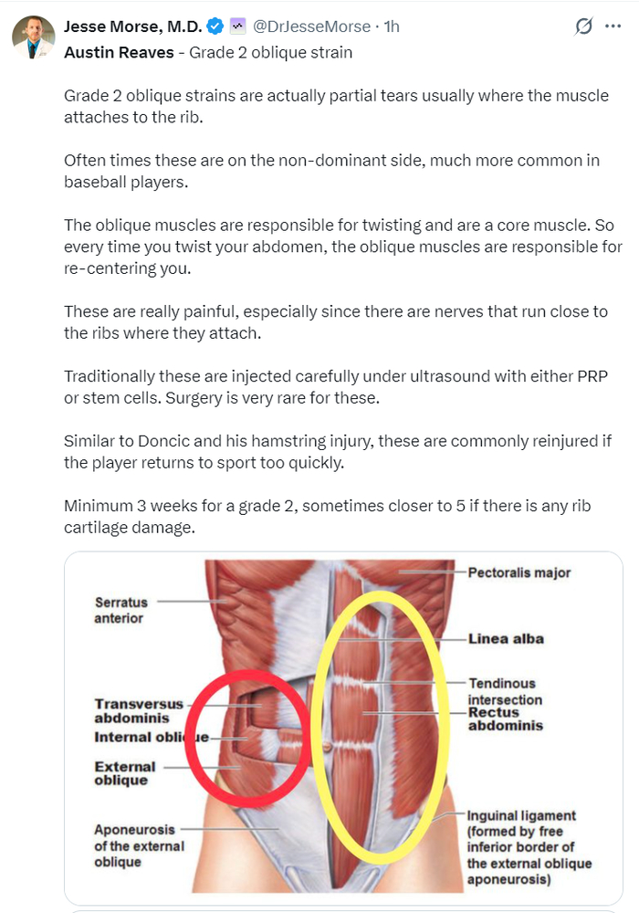 湖人后卫里夫斯腹斜肌二级拉伤将缺席4-6周 雷迪